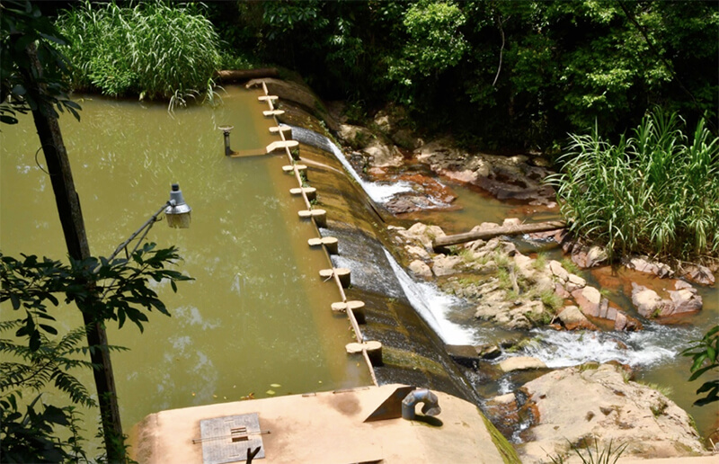 visita-mare-reserva-silvestre-el-cua